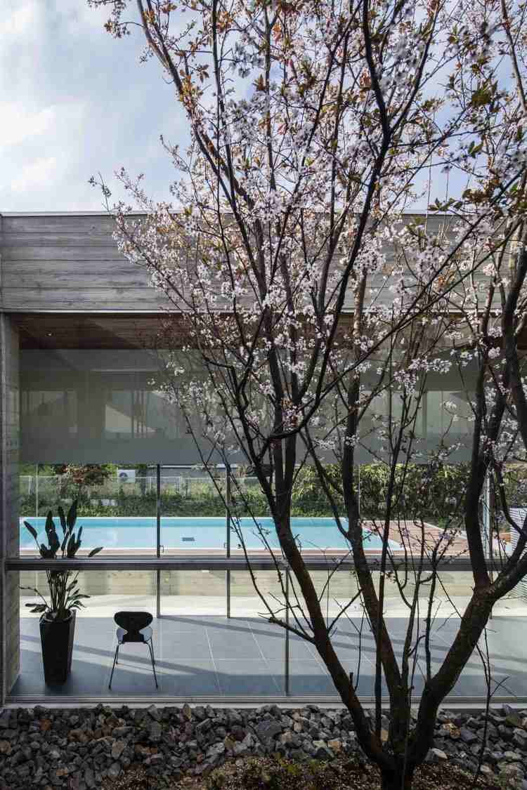 Panoramafenster zum Innengarten -minimalistisch-kirschbaum-pool-beton-flachdachhaus