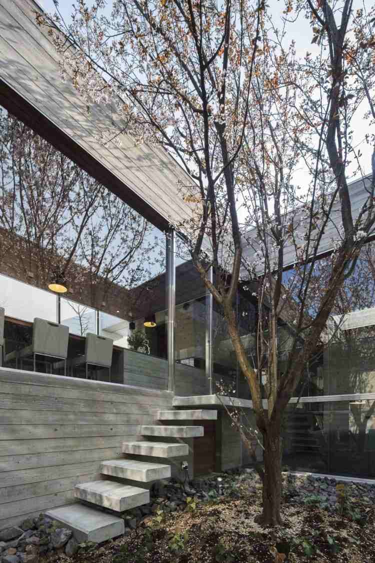 panoramafenster-innengarten-minimalistisch-treppe-kirschbaum-modern-beton-gartengestaltung