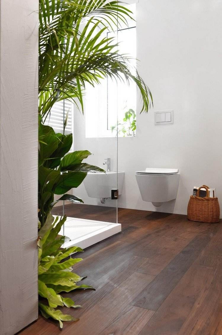 pflegeleichte-zimmerpflanzen-badezimmer-glasdusche-holzboden