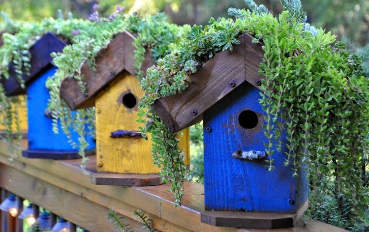 Vogelhaus selber bauen holz-dachbegruenung-pflanzen-gelb-blau