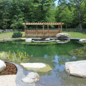 Gartenteich im Pool anlegen