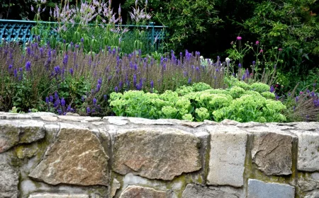 Hochbeet aus Stein im Garten selber bauen und bepflanzen