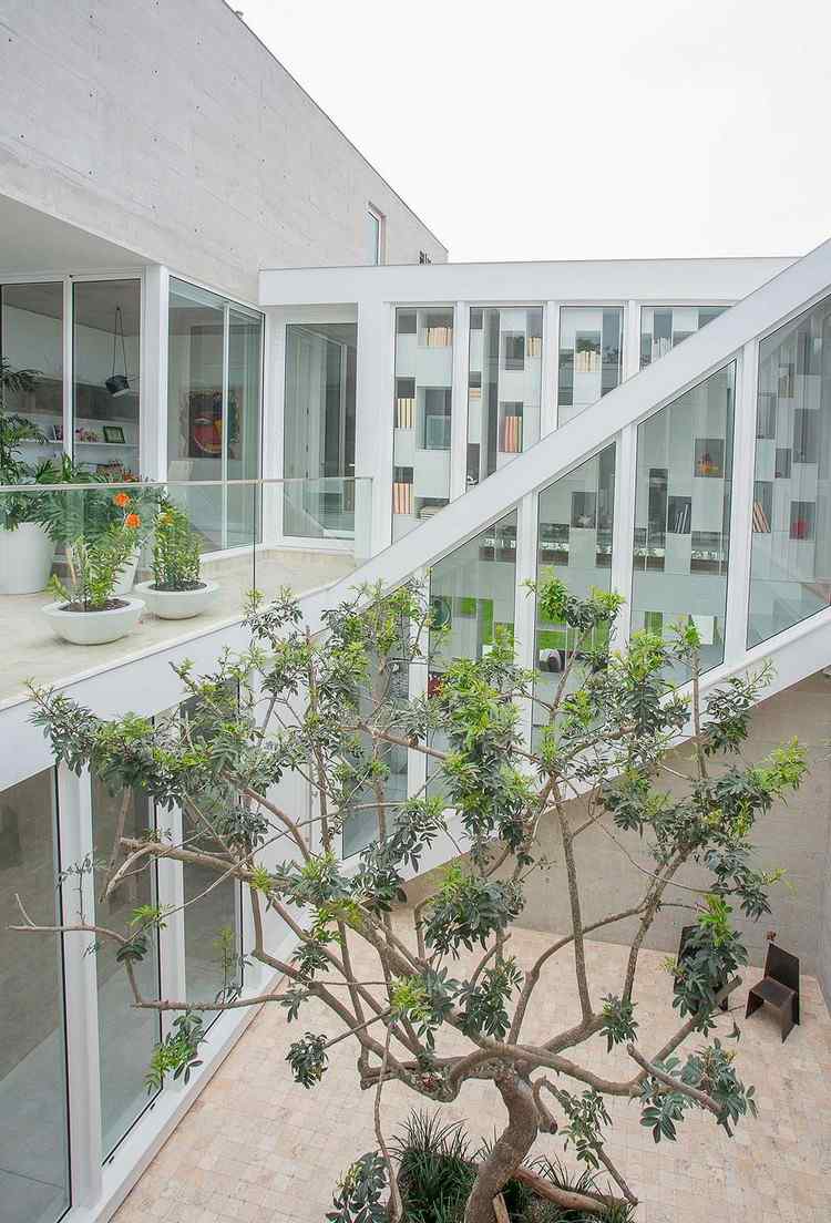 Atriumhaus in Peru innenhof-terrasse-pflanzen-baum