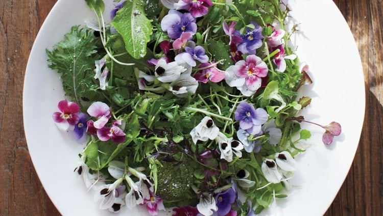 essbare blumen salat-gesund-ernaehrung-heilkraft