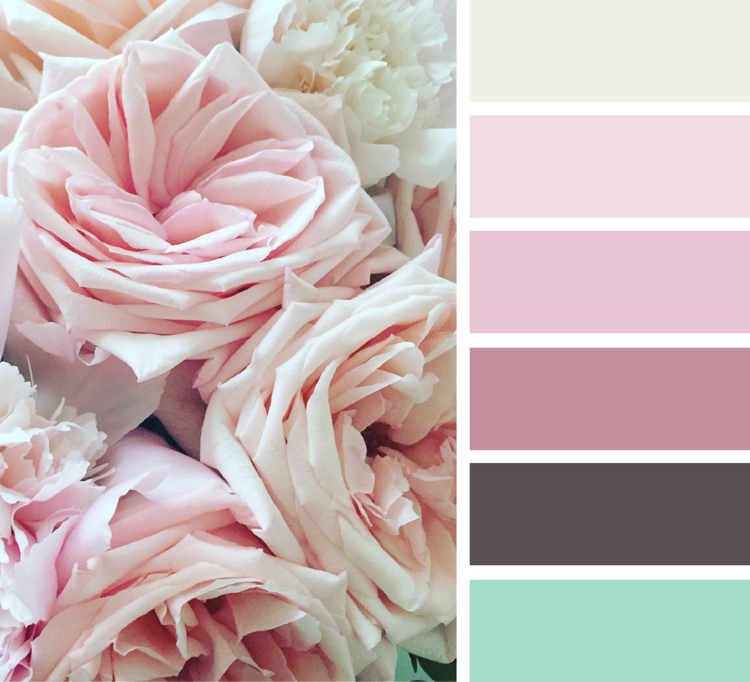 Farbe Puderrosa -wandfarbe-palette-farben-kombinieren-ispiration
