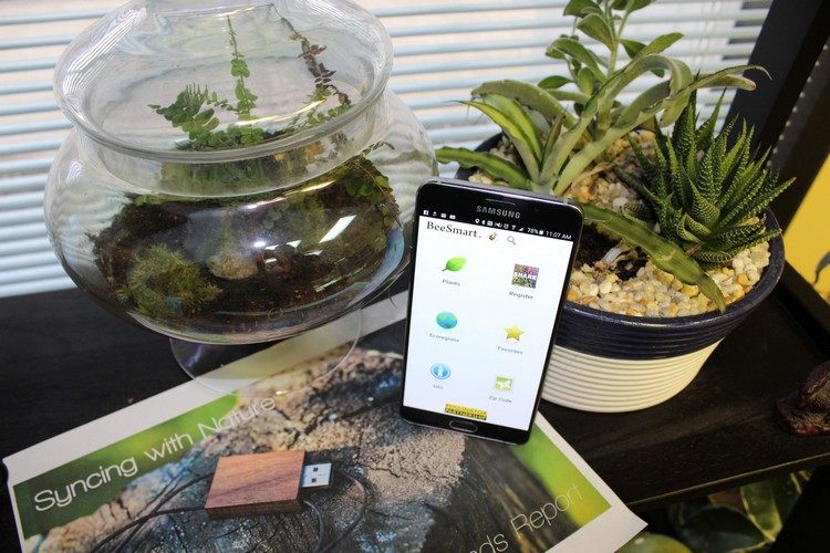 hilfreiche-apps-pflanzen-richtige-pflege-übertopf-glas-blumentopf-smartphone