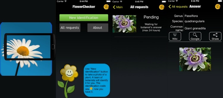 pflanzen-bestimmen-app-gadgets-technologie-internet-flower-checker