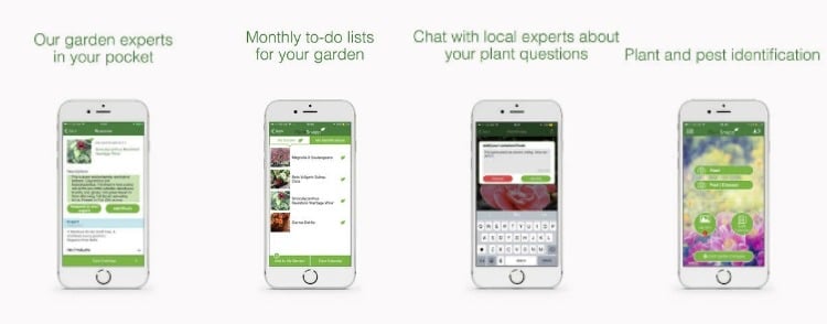 pflanzen-bestimmen-app-kommunikation-funktion-plant-snap