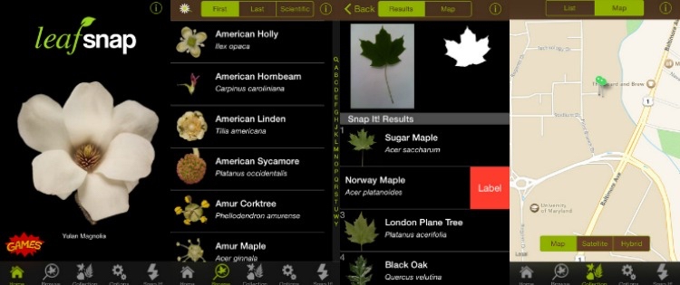 Pflanzen bestimmen -app--smartphone-leaf-snap