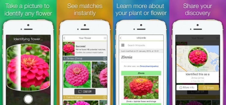 pflanzen-bestimmen-app-smartphone-like-that-garden