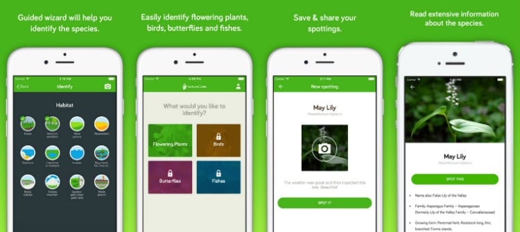 pflanzen-bestimmen-app-smartphone-nature-gate