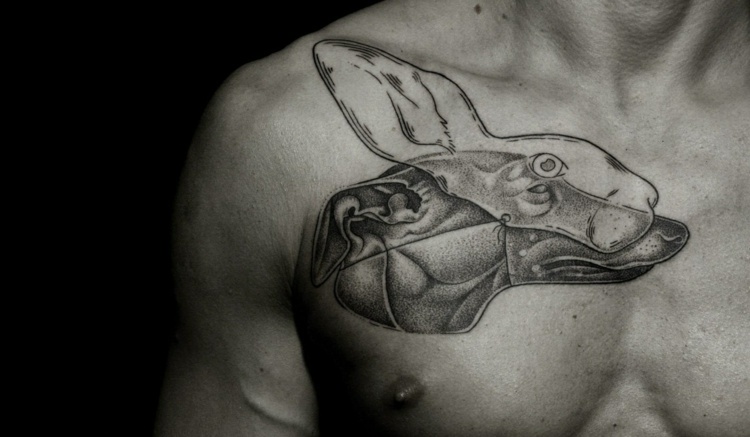 tattoo-motive-jagd-thema-hund-hase-transparenz