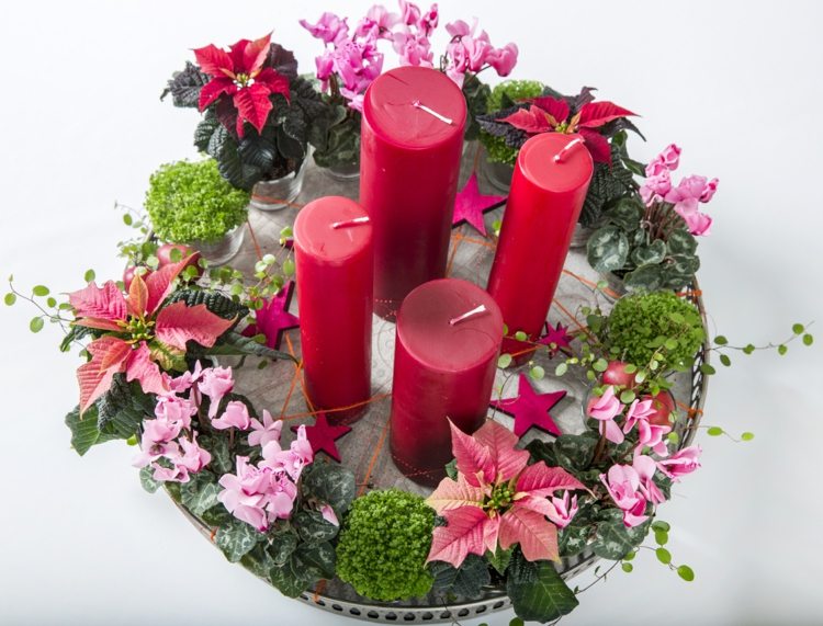 alpenveilchen-deko-weihnachten-adventskranz-bubikopf-weihnachtsstern-pflanze-tisch-arrangement