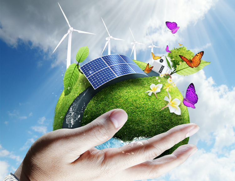 energieeffizienz-haushalt-energie-sparen-ökostrom-erneuerbare-energuequellen