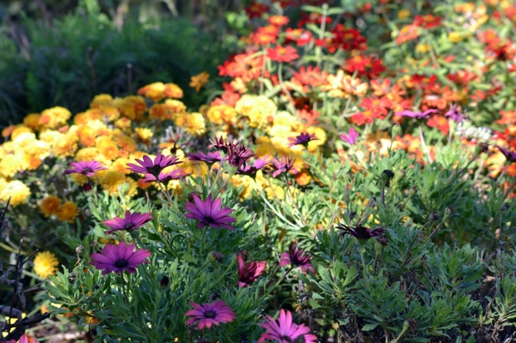 Garten im Herbst