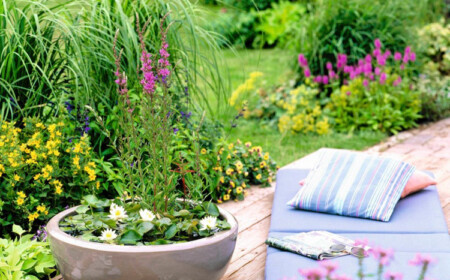 Gartengestaltungen mit Wasser