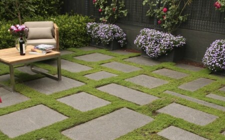 Pflanzen zwischen Steinplatten