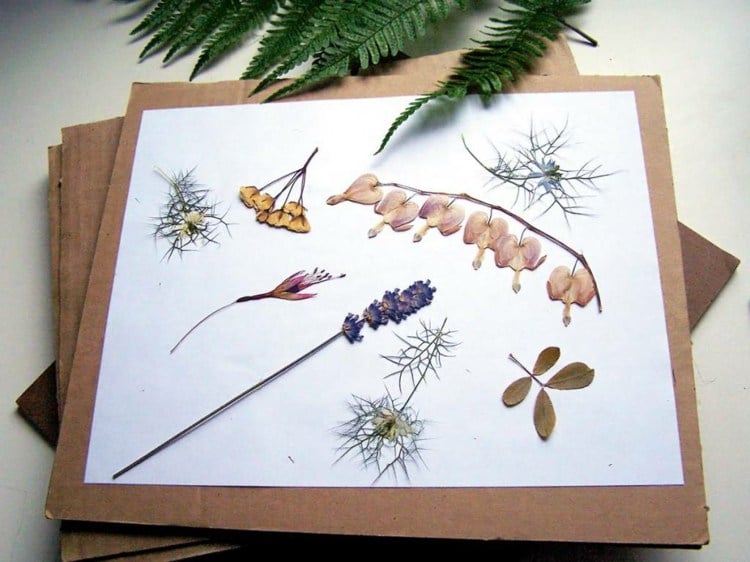 herbarium anlegen blumenpresse-selber-bauen-einfach-schrauben