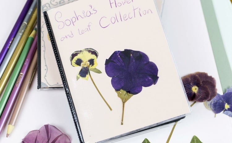 Herbarium Anlegen Tipps Techniken Zum Trocknen Der Blumen