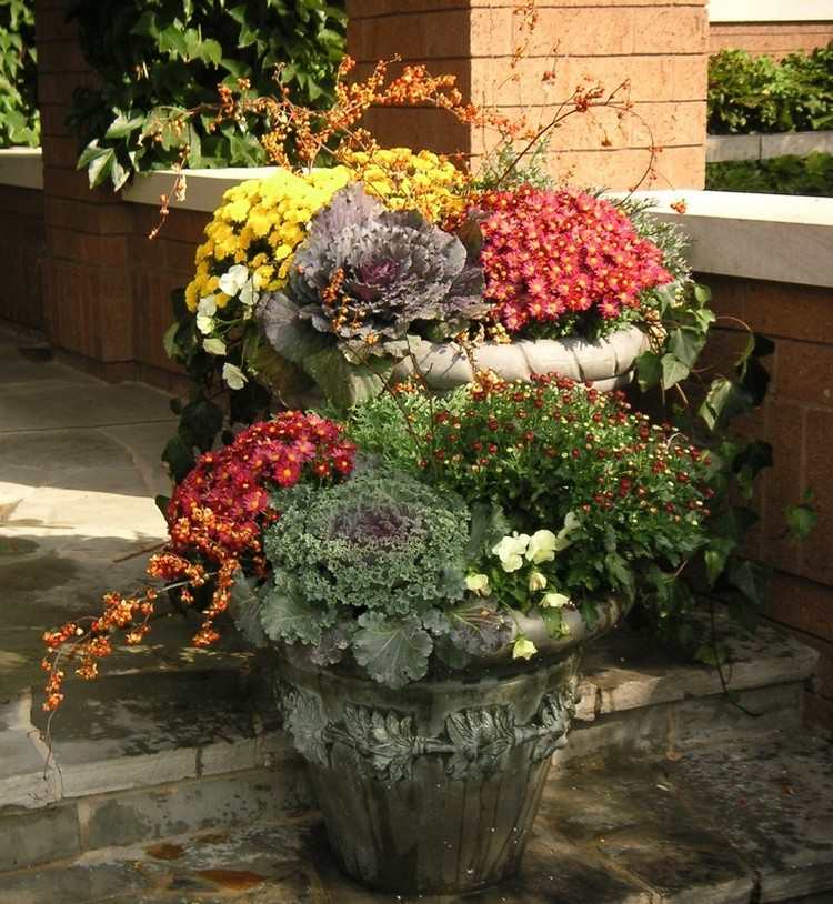 Herbstblumen für Balkon balkonkästen-blumenkästen-bepflanzen-herbstpflanzen