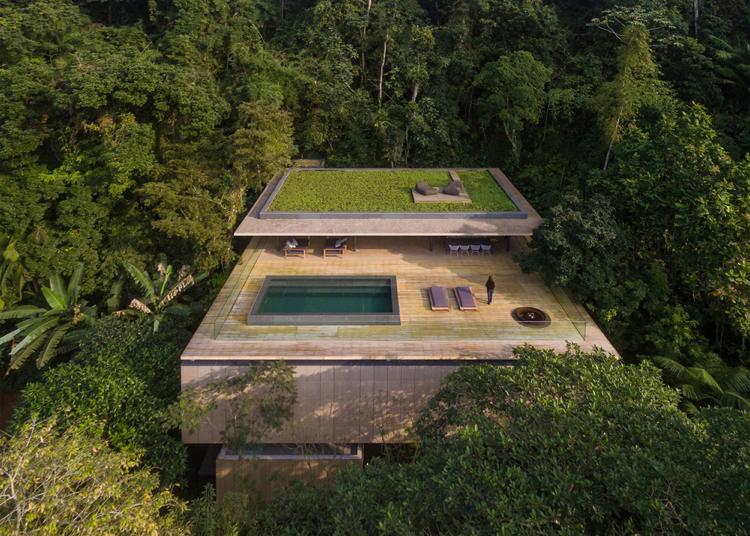 Pool auf der Terrasse -infinty-haus-urwald-brasilien-dachbegruenung-dschungel