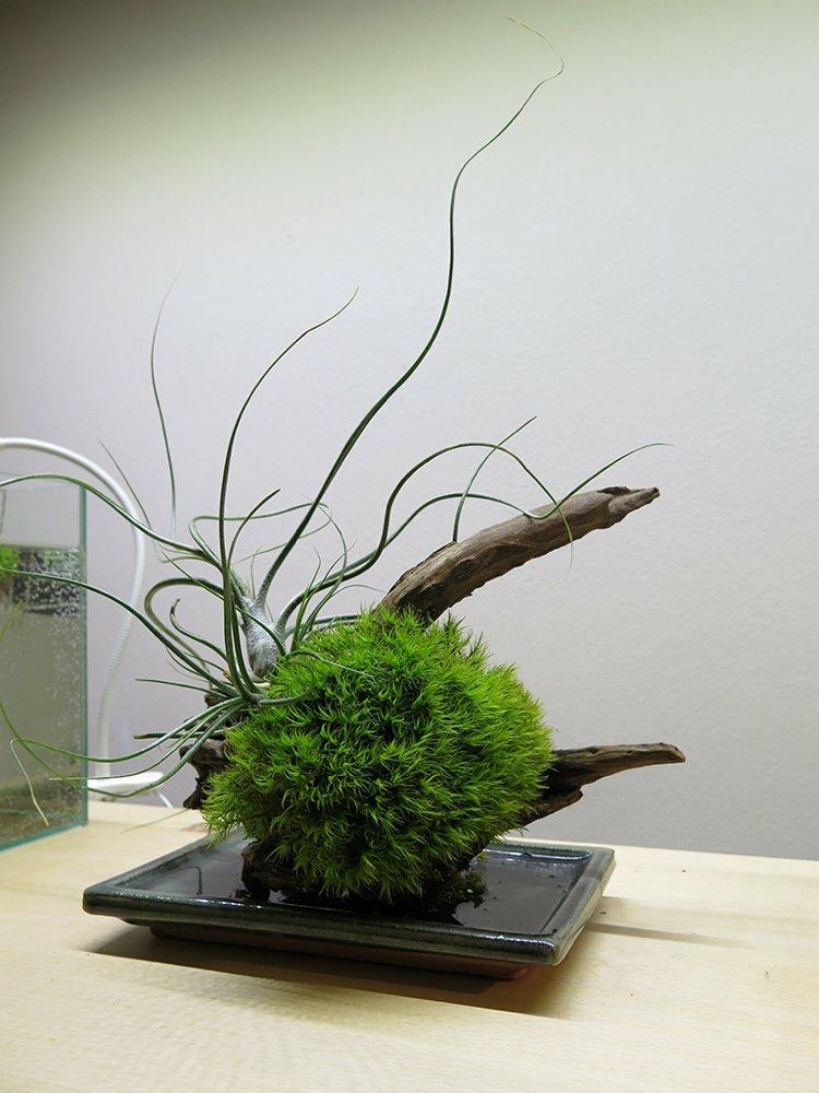 japanische deko ideen-arrangement-ikebana-zweige