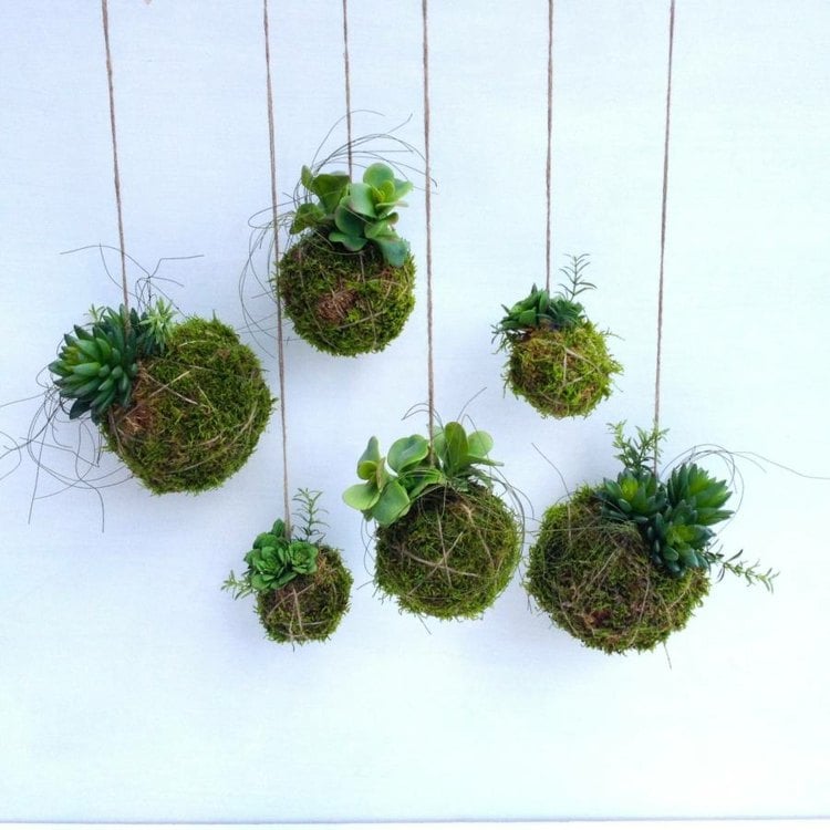 japanische-deko-kuenstlich-kokedamas-gruen-pflanzen-raumgestaltung