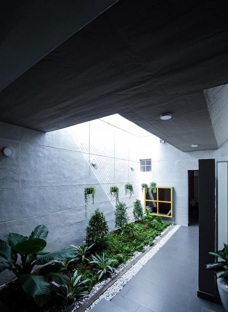 minimalistische-architektur-innenbegrunung-dachfenster-pflanzen-gruen-grau