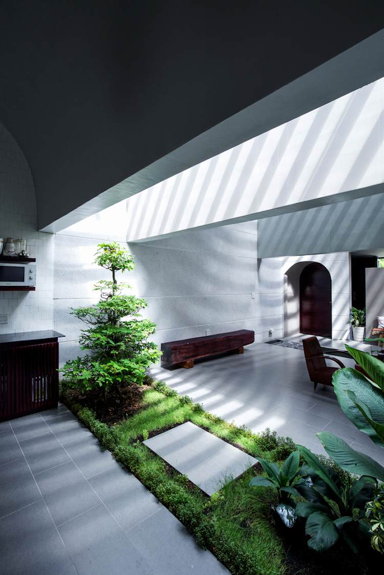 minimalistische-architektur-innenbegrunung-dachfenster-tageslicht-grau-pflanzen
