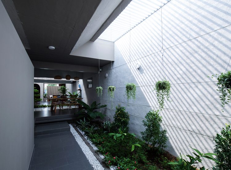 minimalistische-architektur-innenbegrunung-vertikaler-garten-pflanzen-tageslicht