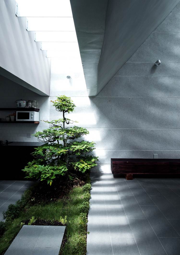 minimalistische-architektur-innenbegrunung-zierholz-innen-grau-dachfenster