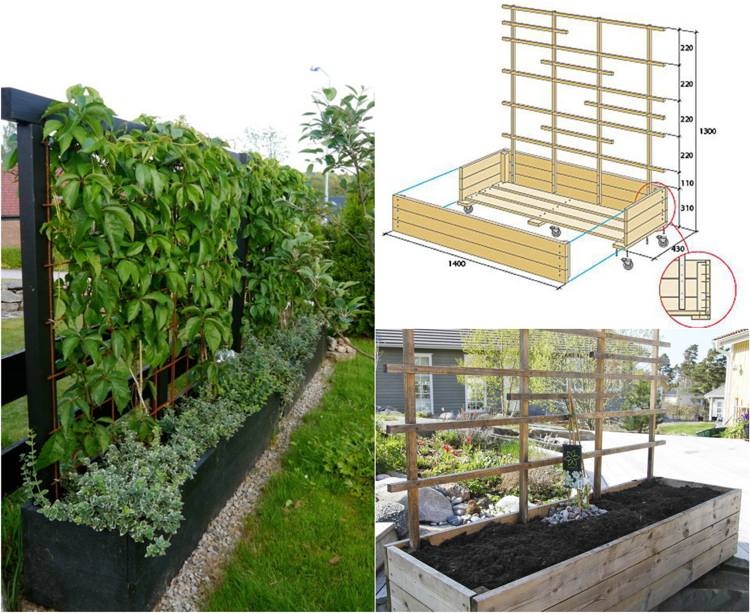 pflanzen sichtschutz terrasse kübel mobil spalier selber bauen garten terrasse