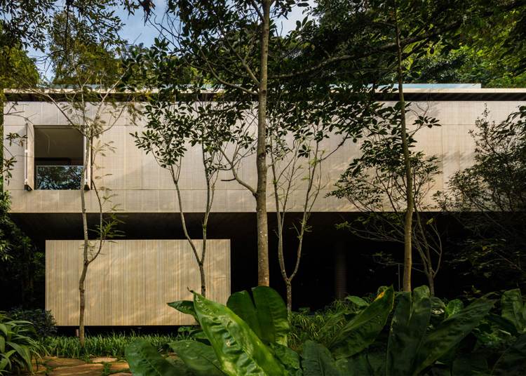 modernes-beton-haus-dachterrasse-urwald-brasilien-architektu-minimalistisch