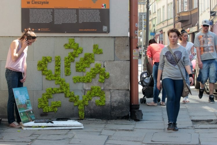 moos-graffiti-minimalistisch-stil-pflanzen-deko-stadt-begruenen