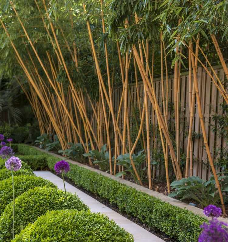 Rhizomsperre für Bambus gebüsche-gartenzaun-gartengestaltung
