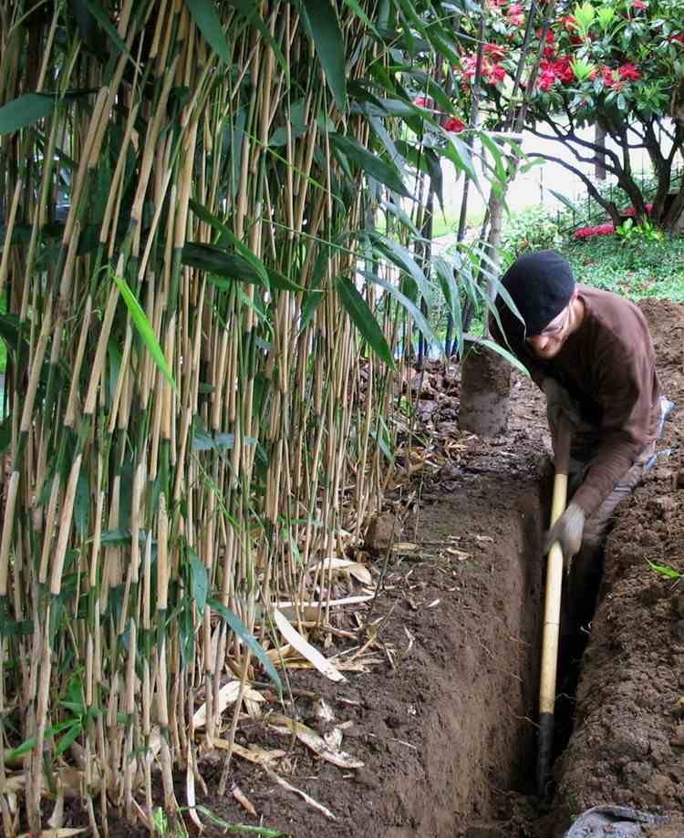 rhizomsperre-bambus-nachträglich-einbauen-graben-schaffen