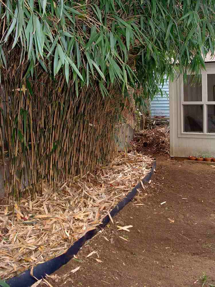 Rhizomsperre für Bambus pe-hd-folie-hackschnitzel-grüne-blätter-garten