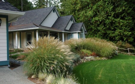 Rhizomsperre für Bambus