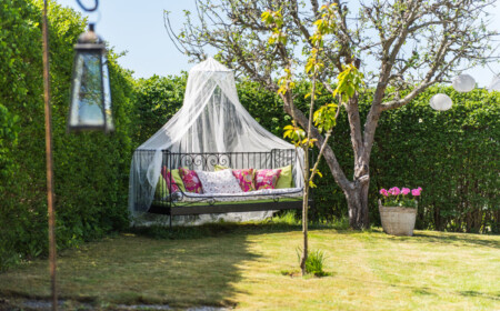 Pflanzen als Sichtschutz