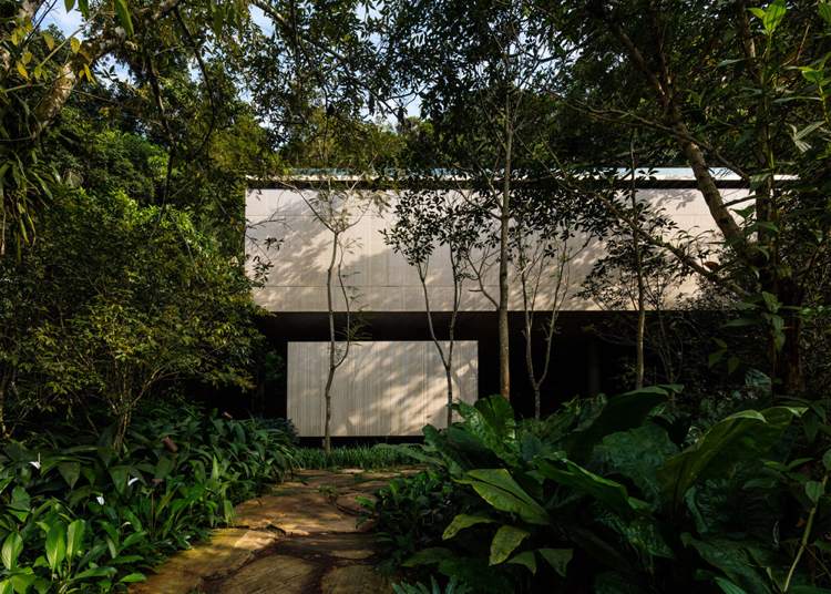 terrasse-haus-beton-minimalistisch-urwald-brasilien-tropenwald