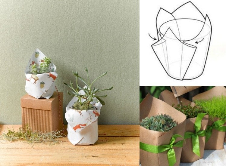 verpackungsideen-geschenkpapier-geschenke-einpacken-pflanze-schenken-pflanzkuebel