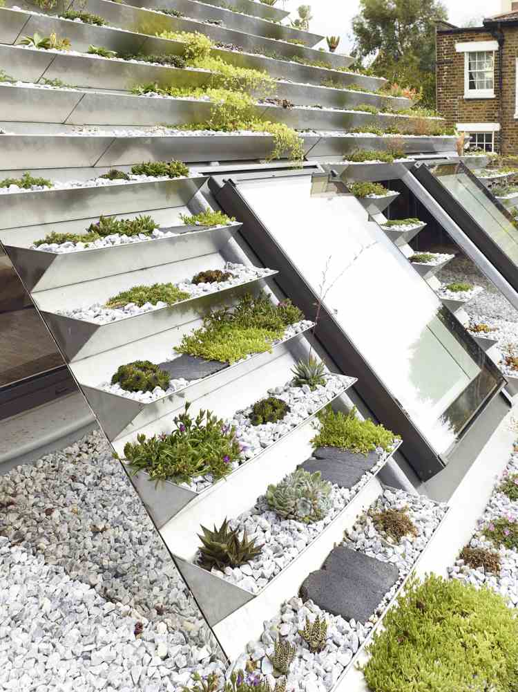 dachfenster-tageslicht-pflanzen-dach