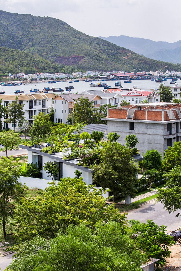 dachterrasse-bepflanzung-grünes-haus-ausblick-stadt-nha-trang-vietnam