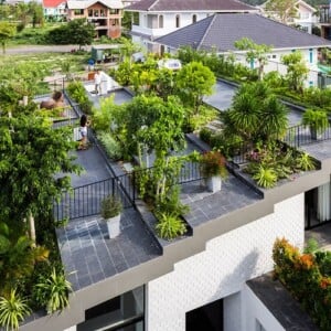 Dachterrasse mit Bepflanzung