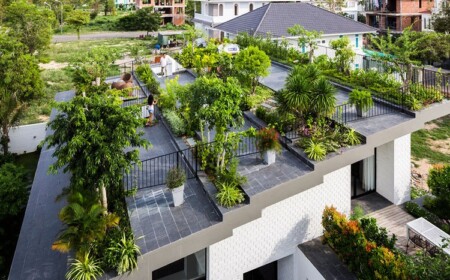 Dachterrasse mit Bepflanzung