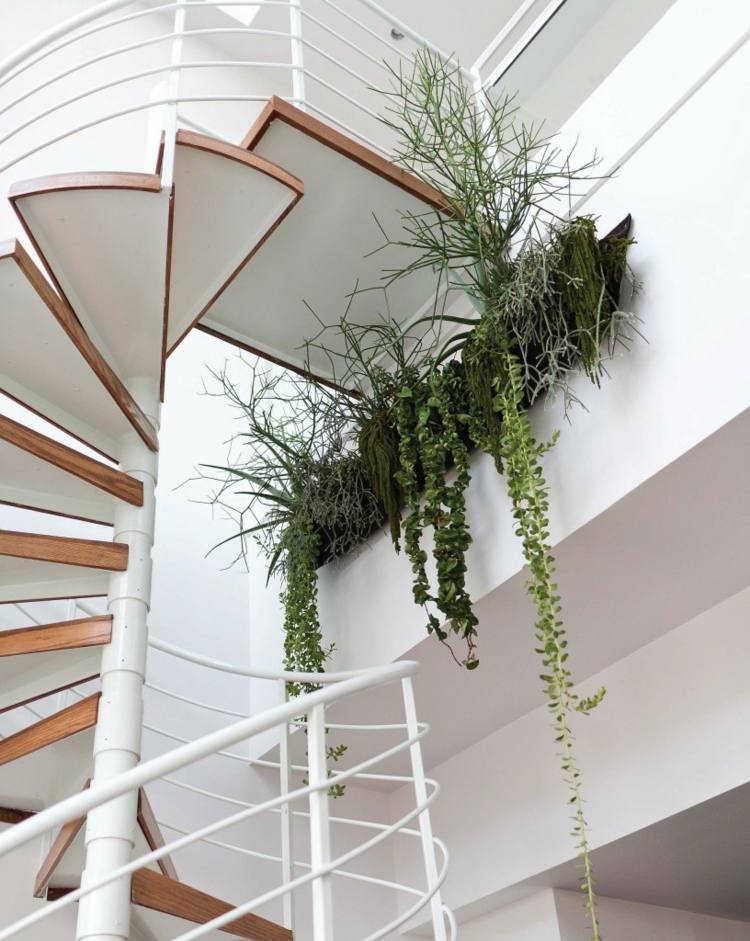 immergruene-kletterpflanzen-idee-gestaltung-schlichte-waender-treppe-minimalistisch