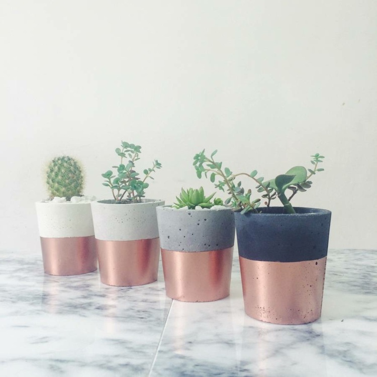 moderne deko diy-ideen-beton-farben-ombre-kaktus-sukkulenten-pflanzen