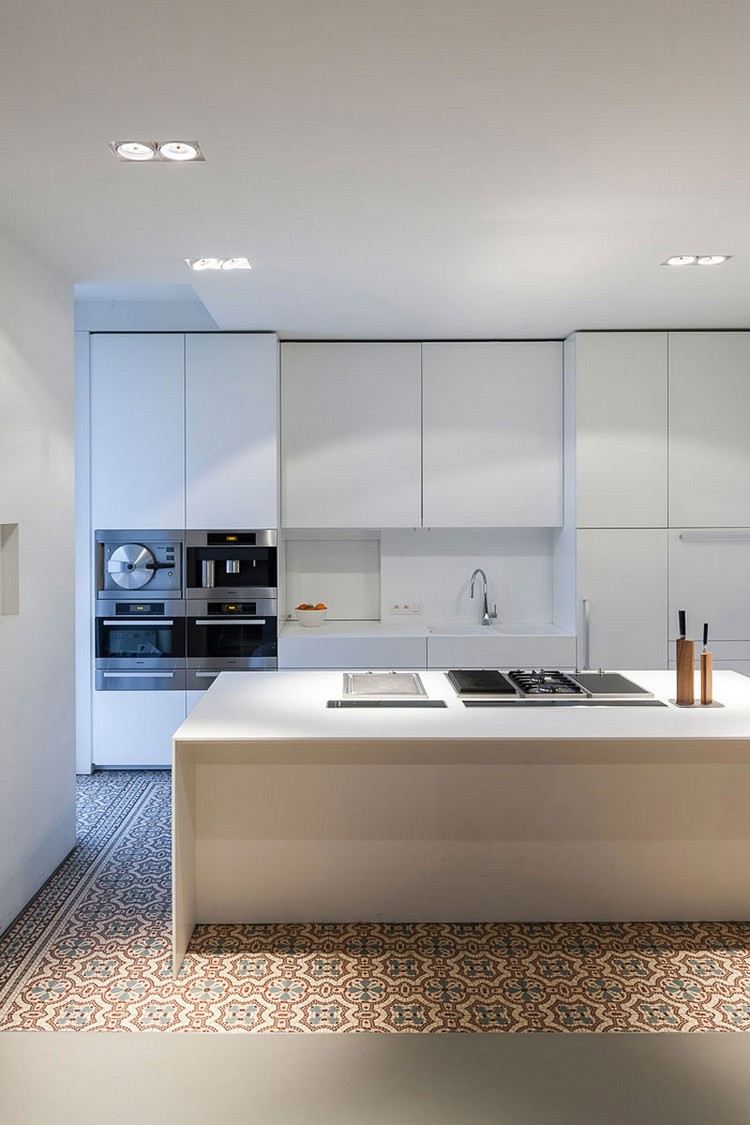 moderne-innenarchitektur-einfamilienhaus-küche-einbaugeräte-kochinsel-kochfeld
