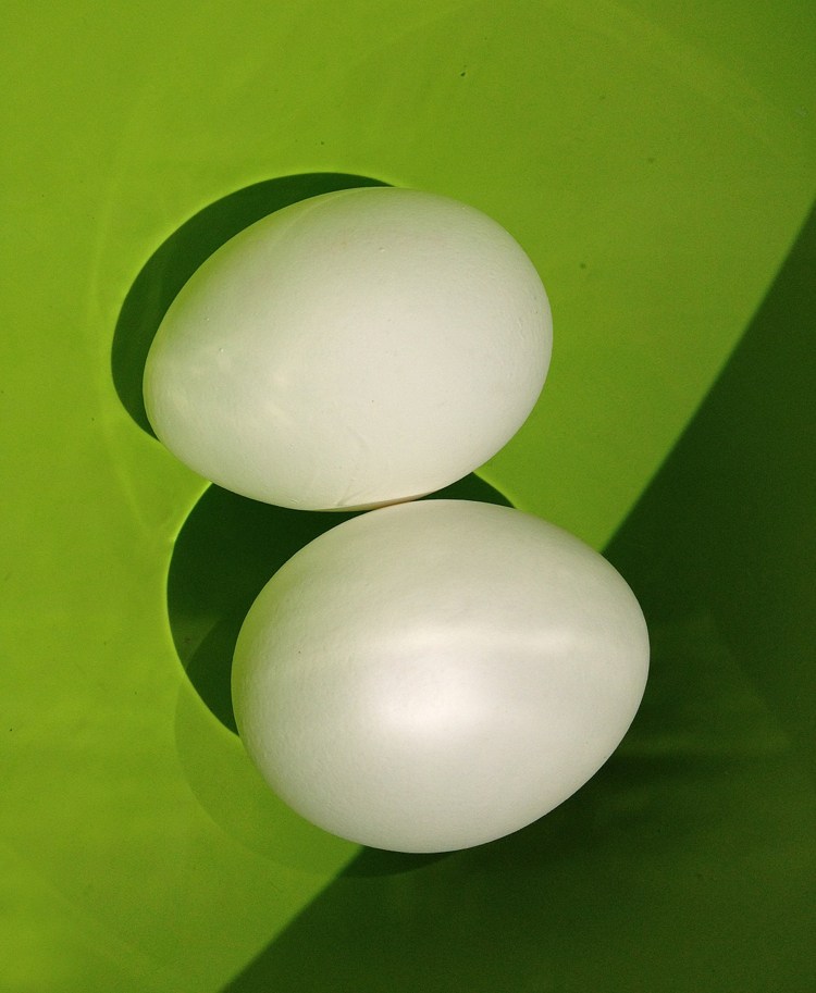 Experimente für Grundschule -kinder-basteln-eier-weiss-eierkunde