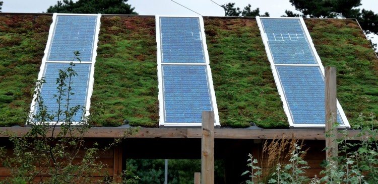 urbanes-grün-solaranlagen-begrüntes-dach-energieeffizient